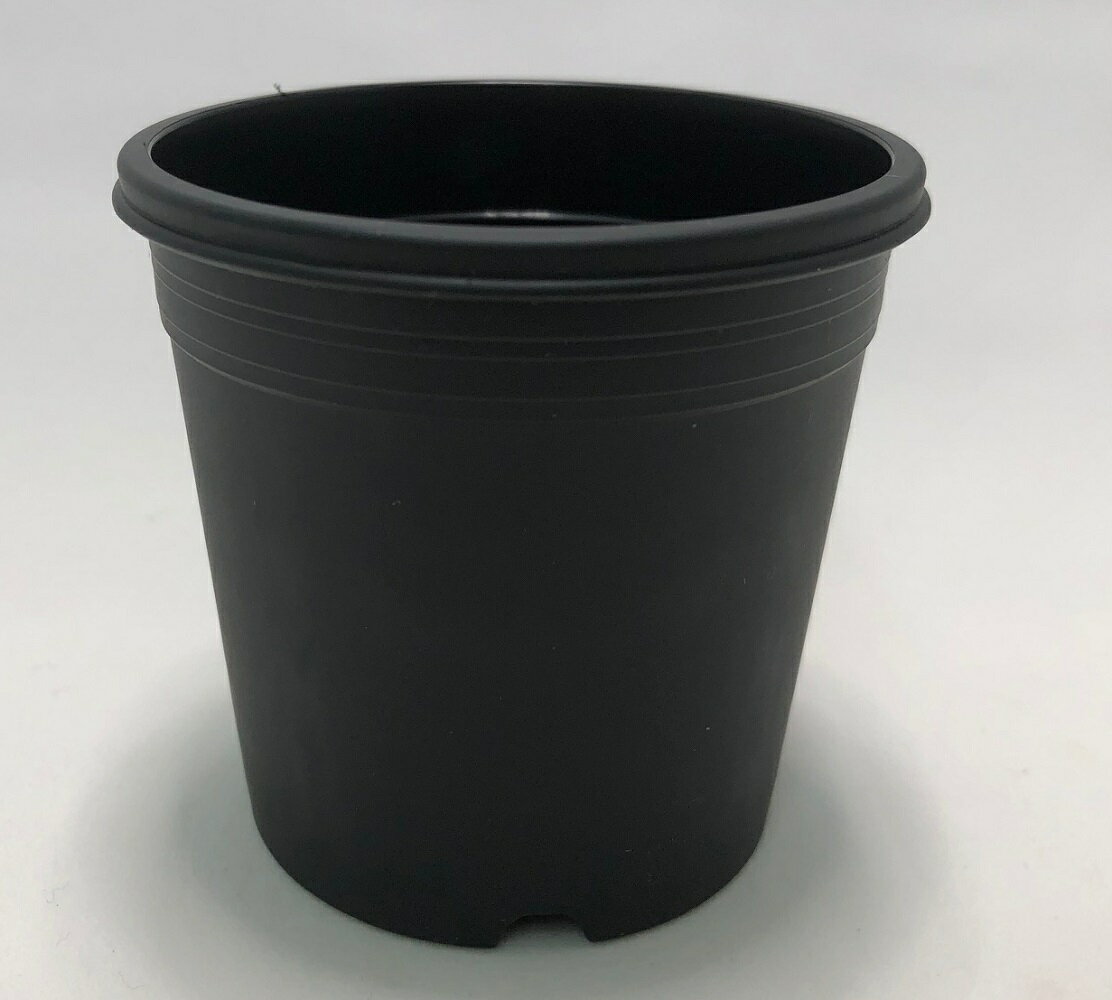黒色のプラ鉢の2．5号で、サイズは外寸直径6．8cmx高さ6．5cmです。250個セットです。 [プラ鉢A-25シリーズ] A-25植木鉢（オリジナルホワイト）30個セット A-25植木鉢（ブラック）30個セット A-25植木鉢（ブラック）250個セット ［プラ鉢A-25に適合するトレー］ トレー　PMT-35　オリジナルホワイト（白） 商品名&nbsp;園芸 トレー　35穴　PMT-35　白（ホワイト） 育苗トレー 育苗トレイ プラスチックトレイ &nbsp;カラー &nbsp;オリジナルホワイト（白） ポイント 所沢植木鉢センターのオリジナルホワイトで真っ白です。 トレー　PMT-35　ブラック（黒） 商品名&nbsp;園芸トレー 35穴 PMT-35 プラスチックトレイ 黒 育苗トレー プラスチック トレー 育苗 トレイ 園芸用 園芸用品 &nbsp;カラー &nbsp;ブラック（黒） ポイント 黒は太陽熱を吸収するので冬場の生育に有利になります。 翌日配達はあす楽対象地域のみです。