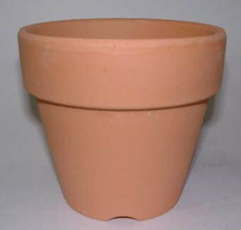 洋蘭 素焼き鉢 2．0号 10枚 植木鉢 鉢