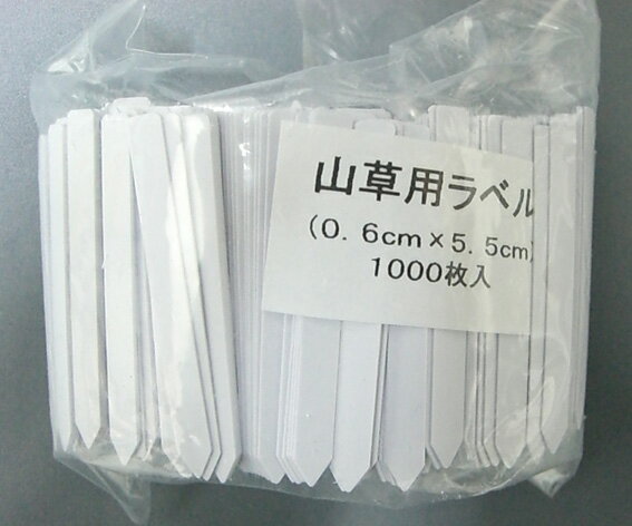 山野草ラベル　1000枚　白　5.5cm　細型　山草ラベル/ネコポス便可