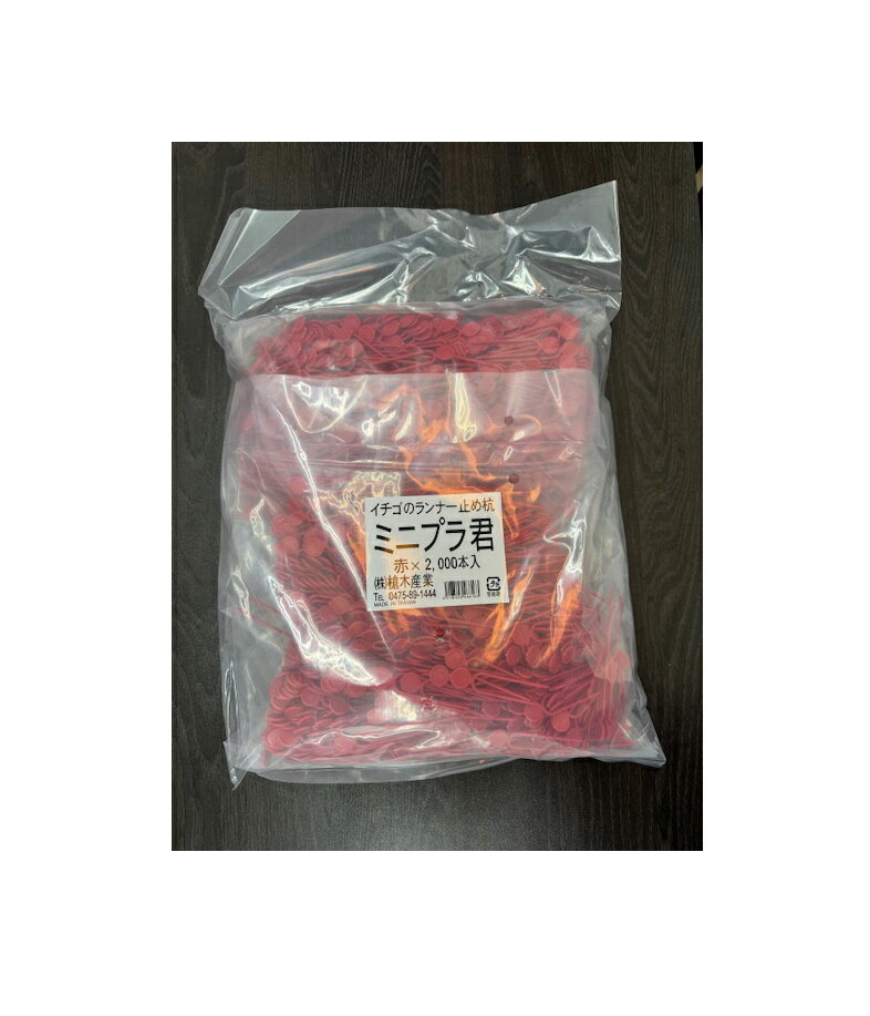 Amazon.co.jp: 【青】ミニプラ君 2000本 深さ5cm イチゴ いちご