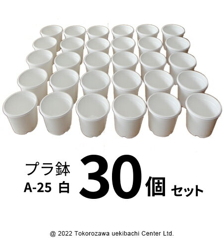 プラ鉢 A-25 白(オリジナルホワイト) 30個セット プラスチック鉢 プラスチック植木鉢 プランター 多肉 植物 多肉植物 エケベリア 鉢 植木鉢 プラスチック ガーデニング ガーデニング用品 ガーデニング植木鉢 まとめ買い