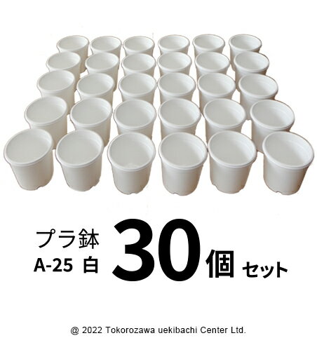 プラ鉢 A-25 白（オリジナルホワイト） 30個セット プラスチック鉢 プランター 多肉 植物 多肉植物 エケベリア 鉢 植…