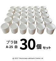 プラ鉢 A-25 白（オリジナルホワイト） 30個セット プランター 多肉植物 エケベリ...