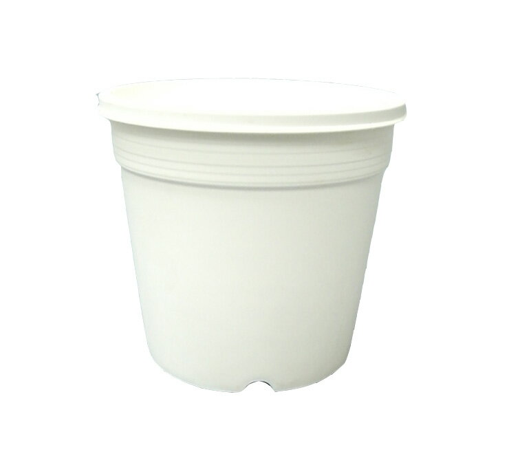 プラ鉢 A-25 白(オリジナルホワイト) 30個セット プランター 多肉植物 エケベリア 鉢 植木鉢 プラスチック まとめ買い
