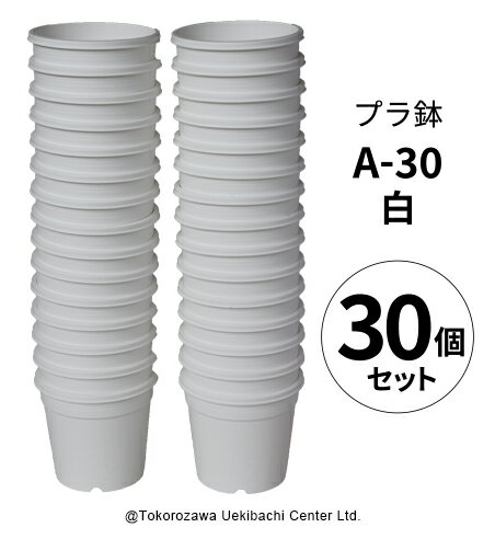 プラ鉢 A-30 白（オリジナルホワイト） 30個セット プラスチック鉢 多肉 多肉植物 鉢 植木鉢 エケベリア ホワイト プ…