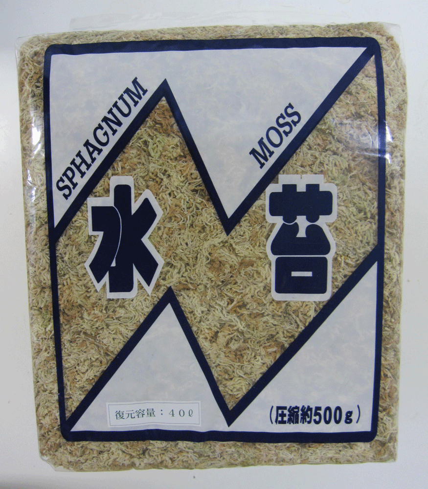 水苔 ニュージーランド産 500g 洋蘭 富貴蘭 サギ草などに 植木鉢 鉢 蘭 らん ラン 富貴蘭 長生蘭 園芸 その1
