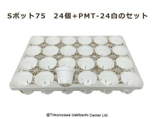 Sポット75 白 24個セット + 専用トレー PMT-24白 ホワイト 付き トレーセット 多肉植物 鉢 エケベリア