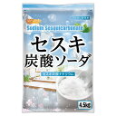 セスキ炭酸ソーダ 4.5kg×5袋 【送料無料！(北海道・九州・沖縄を除く)・同梱不可】 アルカリ洗浄剤 油汚れ 血液汗汚れに NICHIGA(ニチガ) TKJ 2