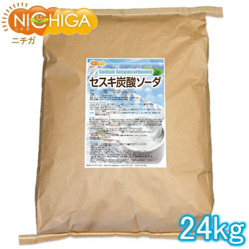 激落ちくんの重曹 粉末 大 1kg レック