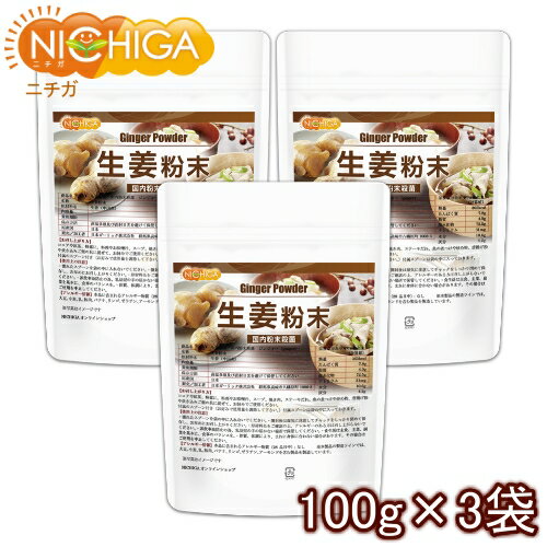 生姜粉末 国内粉末殺菌 ジンジャー 100g×3袋（スプーン付） [02] NICHIGA(ニチガ)