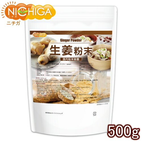 生姜粉末 国内粉末殺菌 ジンジャー 500g（スプーン付） [02] NICHIGA(ニチガ)