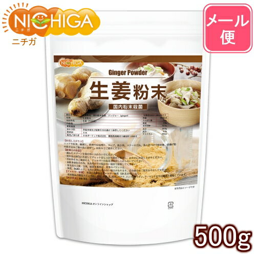 生姜粉末 国内粉末殺菌 ジンジャー 500g（スプーン付） 【送料無料】【メール便で郵便ポストにお届け】【代引不可】…