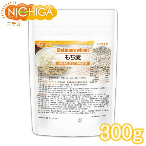  300g פפ [02] NICHIGA(˥)