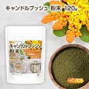 ■　このカテゴリの商品一覧 キャンドルブッシュ 粉末 120g【送料無料】【メールで郵便ポストにお届け】【代引不可】【時間指定不可】 キャンドルブッシュ 粉末 120g キャンドルブッシュ 粉末 500g【送料無料】【メールで郵便ポストにお届け】【代引不可】【時間指定不可】 キャンドルブッシュ 粉末 500g【キャンドルブッシュ 粉末　キャンドルブッシュ100％　食物繊維たっぷり　国内製造】 キャンドルブッシュ(ゴールデンキャンドル、ハネセンナ)は、学名Cassia alataと呼ばれるインドネシア、インドなどの熱帯アジアの湿地帯に自生するマメ科の落葉低木で、夏から秋にかけてきれいな黄色の花が咲きます。 一日一杯で健康と美容のサポートに。 弊社製品は国内にて粉末工程を行っております。残留農薬検査実施済み 名　称 キャンドルブッシュ 原材料名 キャンドルブッシュ粉末(国内製造) 原料原産地 タイ、インド 内容量 120g 賞味期限 別途商品に記載 保存方法 高温多湿及び直射日光をさけて保管ください。 加工者 日本ガーリック株式会社群馬県高崎市八幡原町1008-3 形　状 粉末 使用上の注意 ○本品は天産物を原料として使用しておりますので、製造ロットにより色調が異なる場合がありますが、品質には問題ありません。 ○原材料名をご確認の上、食品アレルギーのある方は召し上がらないでください。 ○薬を服用中あるいは通院中の方は、お医者様にご相談の上、お召し上がりください。 ○一度に大量に摂取しますと、下痢や嘔吐の原因になりますのでお控え下さい。また妊娠・授乳中の方や小さいお子様へのご使用はご遠慮下さい。 ○体調・体質に合わないときは使用を中止し医師等に相談してください。 ○食生活は主食、主菜、副菜を基本に、食事のバランスを大事にしてください。 お召し上がり方 1日1g程度を目安に、1gに対して300～400ml程度の熱湯を注ぎ、よくかき混ぜてお飲み下さい。 目安を超えてお飲みになりますと、お腹が緩くなる場合がございます。 ※個人差がございますのでお腹が緩くなりやすい方は、少量薄めにしてからお飲み下さい。 アレルギー情報 本品に含まれるアレルギー物質(28品目中)：無 ※本製品の製造ラインでは、大豆、小麦、乳、豚肉、バナナ、リンゴ、ゼラチン、アーモンドを含む製品を製造しています。 残留農薬 国内検査機関にて307項目実施 すべて不検出 区　分 日本・食品 ■【栄養成分表示(製品100gあたり)】 エネルギー 285Kcal たんぱく質 15.9g 脂質 4.4g 炭水化物 65.4g 　　-糖質 25.3g 　　-食物繊維 40.1g 食塩相当量 0.1g 原材料名(加工地) 原　料 原料産地 キャンドルブッシュ(日本) キャンドルブッシュ タイ、インド ※在庫についての注意事項 当商品は自社販売と在庫を共有しております。 在庫更新のタイミングによっては在庫切れとなってしまい、やむを得ず注文をキャンセルさせて頂く可能性がございます。予めご了承下さい。 ※こちらの商品は、宅配便専用商品です。 こちらの商品は宅配便専用商品です。メール便専用商品もあります。