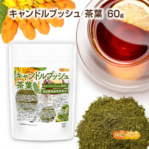 キャンドルブッシュ 茶葉 60g 残留農薬検査実施済 豆のような風味 キャンドルブッシュ100％ [02] NICHIGA(ニチガ)