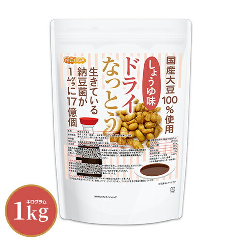 hCȂƂ 傤 1kg y()z Y哤100gp DRY NATTO Ă[17 ibgELi[[ܗL ቷtCꐻ@ NICHIGA(j`K) TK0