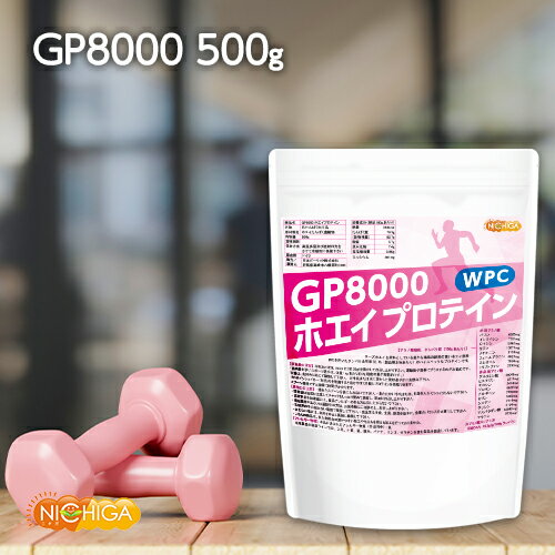 GP8000 zGCveC 500g Y i` [02] NICHIGA(j`K)