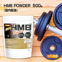 HMB POWDERij 500g sgp Ösgp HMB-ca 100 mt[o[ [02] NICHIGA(j`K)