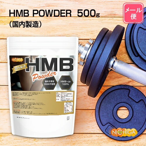 HMB POWDER（国内製造） 500g 【送料無料】【メール便で郵便ポストにお届け】【代引不可】【時間指定不可】 香料不使…