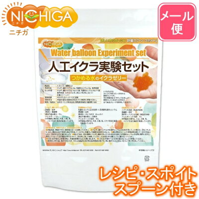NICHIGA(ニチガ) 人工いくら実験セット