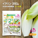 イヌリン（オランダ産） 350g イヌリア  天然 チコリ由来 水溶性食物繊維 微顆粒品  NICHIGA(ニチガ)