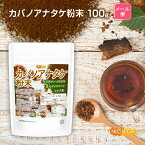 カバノアナタケ 粉末 100g 【送料無料】【メール便で郵便ポストにお届け】【代引不可】【時間指定不可】 チャーガ キノコ茶 森のダイヤモンド ロシア産100％ [01] NICHIGA(ニチガ)