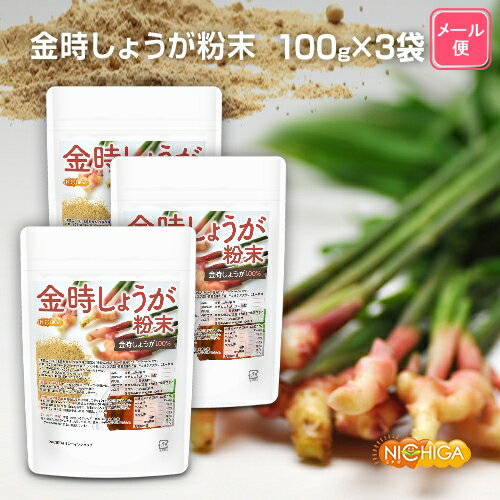 金時しょうが 粉末 100g×3袋 【送料無料】【メール便で郵便ポストにお届け】【代引不可】【時間指定不可】】 ［生姜…