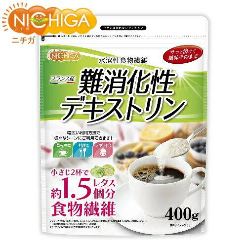 難消化性デキストリン（フランス産） 400g（計量スプーン付） 水溶性食物繊維 [02] NICHIGA(ニチガ)