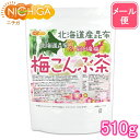 北海道産昆布 紀州産梅 梅こんぶ茶 510g 【送料無料】【メール便で郵便ポストにお届け】【代引不可】【時間指定不可】 [01] NICHIGA(ニチガ)