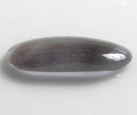 ŷ���� �֥롼���������ե�����0.89ct��9��������