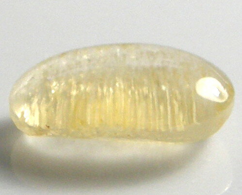 天然石 イエロースキャポライトキャッツアイ2.51ct
