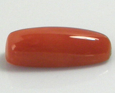 天然石 珊瑚4.69ct