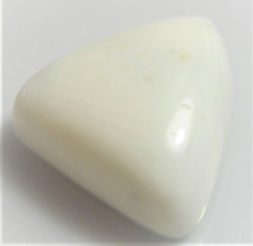 天然石　ホワイト珊瑚3．27ct　地中海産