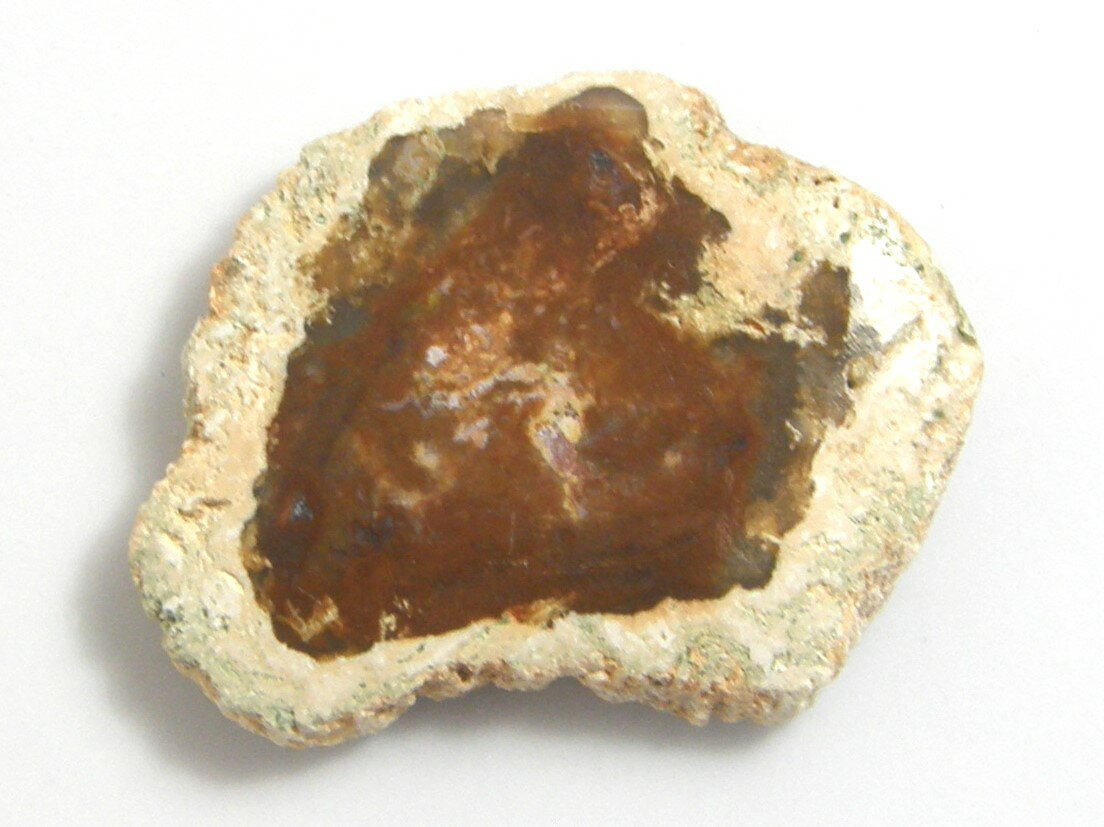 楽天市場】珪化木（ジュエリー・アクセサリー）の通販