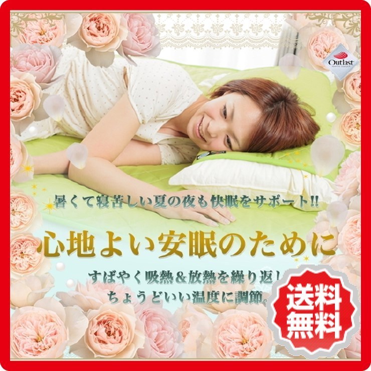 アウトラスト 枕パッド2枚組 プレミアムカラー cl-outlast-piro送料無料 北欧 モダン 家具 インテリア ナチュラル テイスト 新生活 オススメ おしゃれ 後払い