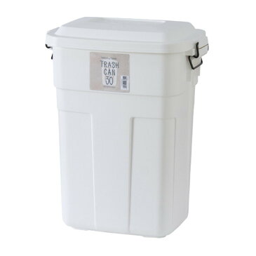 ダストボックス トラッシュカン 30L ホワイト az-lfs-934wh送料無料 北欧 モダン 家具 インテリア ナチュラル テイスト 新生活 オススメ おしゃれ 後払い 雑貨