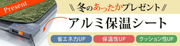 木目調ホットカーペット・カバー 〔ウッディ〕 1畳用(200x98)+ホットカーペット本体 2点セット mu-i-5200001送料無料 北欧 モダン 家具 インテリア ナチュラル テイスト 新生活 オススメ おしゃれ 後払い マット 絨毯 ラグ カーペット リビング