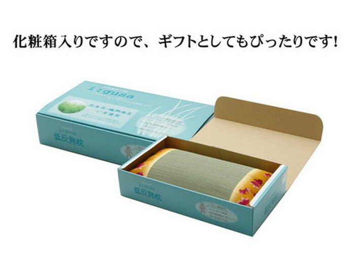 イ草平枕 水金魚 みずきんぎょ イエロー50×30cm ike-525932s2送料無料 北欧 モダン 家具 インテリア ナチュラル テイスト 新生活 オススメ おしゃれ 後払い