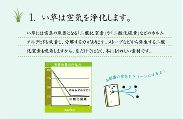 い草花ござ カーペット 流水 本間 4.5畳 286.5×286cm ike-5359612s3送料無料 北欧 モダン 家具 インテリア ナチュラル テイスト 新生活 オススメ おしゃれ 後払い マット 絨毯 ラグ カーペット リビング