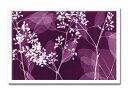 インテリアアート Steven N Meyers Eucalyptus Branches ヒモ付 AS-11363 kar-3097168s1 アートパネル ア...