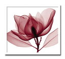 インテリアアート Steven N Meyers Red Magnolia ヒモ付 AS-10680 kar-3097205s1 アートパネル アートボード 壁...