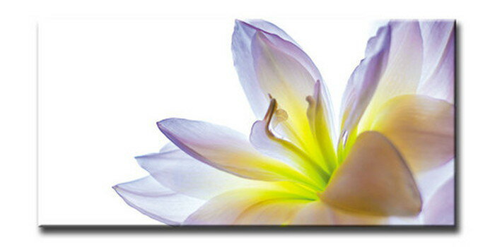 樂天商城 - CANVAS ART キャンバスアート Lily リリー Lサイズ W1000×H500×D40mm US-6012 店舗 カフェ ラウンジ ロビー ホテル 法人 kar-6248601s1 アートパネル アートボード 壁紙 装飾フィルム 送料無料 北欧 モダン 家具 インテリア ナチュラル