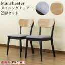 ダイニングチェアー 2脚セット Manchester sk-