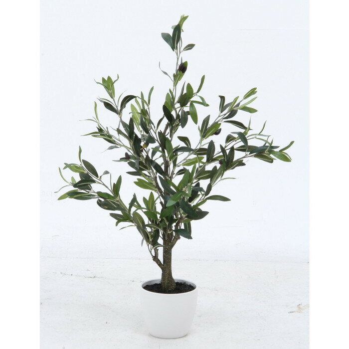 オリーブ オリーブ 312 20719 fj-52689 観葉植物 花 観葉植物 ガーデン DIY 北欧 モダン 家具 インテリア ナチュラル テイスト 新生活 オススメ おしゃれ