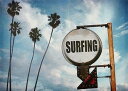 キャンバスアート Carino Canvas Art surfing sign with palm trees 700x500mm 700x500x25mm ZPT-61750 bic-7030277s1 アートパネル アートボード 壁紙 装飾フィルム 送料無料 北欧 モダン 家具 インテリア ナチュラル テイスト 新生活 オススメ おしゃれ 後払い