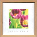 アートフレーム フレンチフォトグラフィ French Photography Tulips 220x220x20mm ZFP-51895 bic-7093197s1 アートパネル アートボード 壁紙 装飾フィルム 送料無料 北欧 モダン 家具 インテリア ナチュラル テイスト 新生活 オススメ おしゃれ 後払い