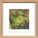 A[gt[ t`tHgOtB French Photography Green Snake 220x220x20mm ZFP-51909 bic-7093209s1 A[gpl A[g{[h ǎ tB  k _ Ƌ CeA i` eCXg V IXX  㕥