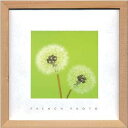 アートフレーム フレンチフォトグラフィ French Photography Dandelions 220x220x20mm ZFP-51913 bic-7093213s1 アートパネル アートボード 壁紙 装飾フィルム 北欧 モダン 家具 インテリア ナチュラル テイスト 新生活 オススメ おしゃれ