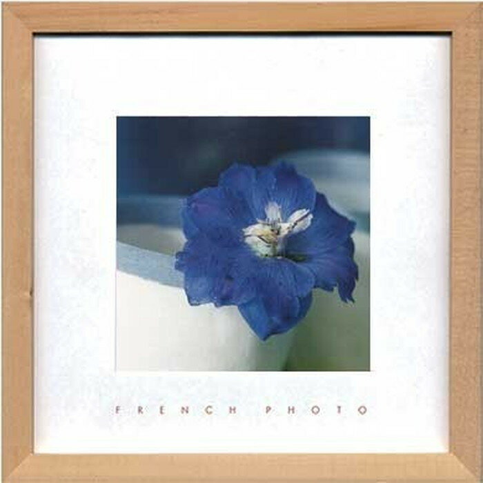 アートフレーム フレンチフォトグラフィ French Photography Delphinium elatum 220x220x20mm ZFP-51918 bic-7093218s1 アートパネル アートボード 壁紙 装飾フィルム 送料無料 北欧 モダン 家具 インテリア ナチュラル テイスト 新生活 オススメ おしゃれ 後払い