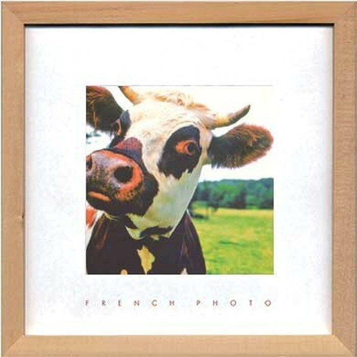 Rakuten - アートフレーム フレンチフォトグラフィ French Photography A Cow 220x220x20mm ZFP-51923 bic-7093222s1 アートパネル アートボード 壁紙 装飾フィルム 送料無料 北欧 モダン 家具 インテリア ナチュラル テイスト 新生活 オススメ おしゃれ 後払い